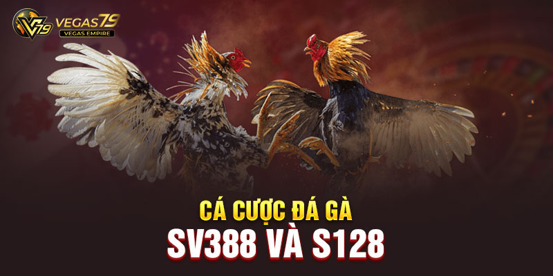 Sảnh chơi cá cược đá gà trực tiếp tại Vegas79